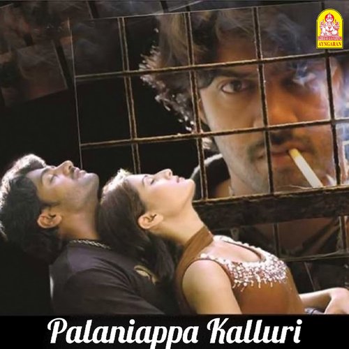 download   Palanimala Parangimala mp3 Single Tracks song 