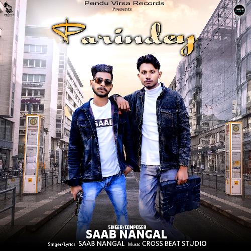 download Saab Mangal  Parindey mp3 Single Tracks song 