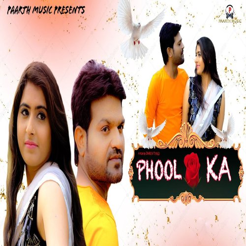 download Sandeep Chandel, Vandna Jangid  Phool Gulab Ka mp3 Single Tracks song 