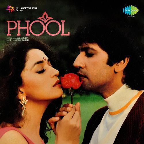 download   Phool Phool Pe Bani Hai Teri Tasveer mp3 Single Tracks song 