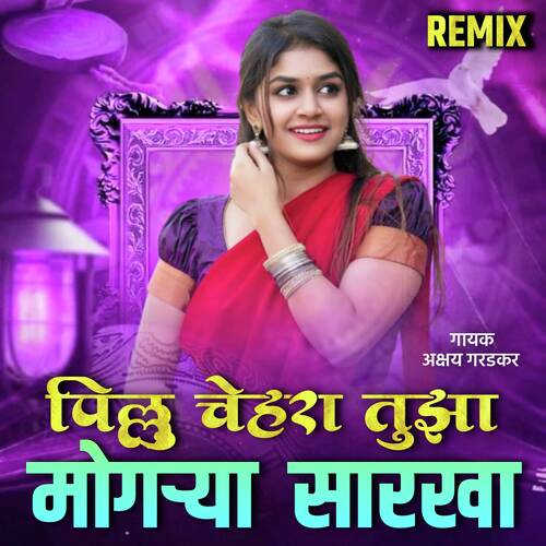 download   Pillu Tuza Chehara Mogarya Sarkha 11 mp3 Single Tracks song 