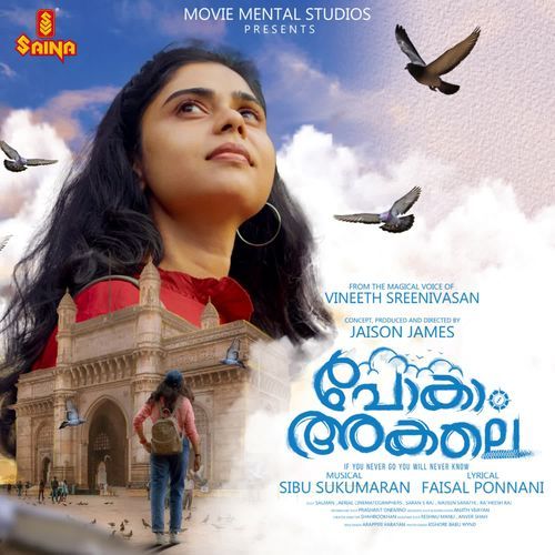 download Vineeth Sreenivasan  Pokam Akale mp3 Single Tracks song 