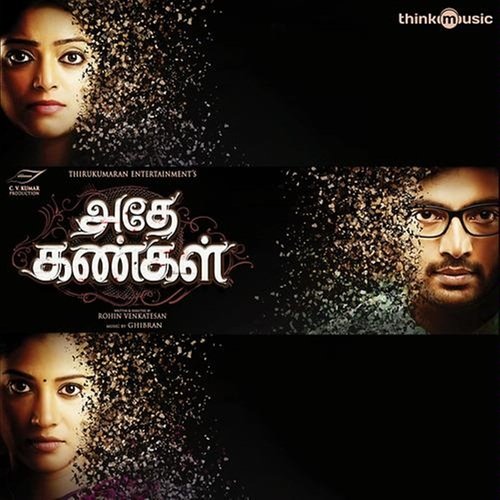 download Instrumental  Ponapokkil Karaoke mp3 Single Tracks song 