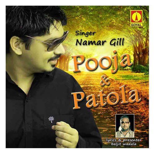 download Namr Gill  Pooja Amp Patola mp3 Single Tracks song 