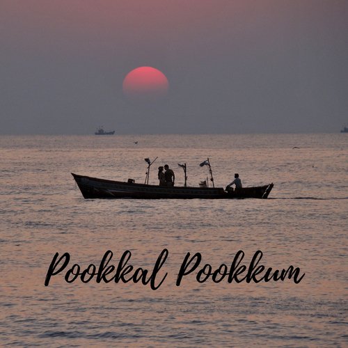 download Ramanan Nathan, Samuel Amirtharaja  Pookkal Pookkum mp3 Single Tracks song 