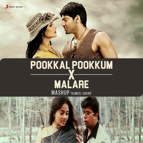 download Tajmeel Sherif, Rahema Begum, Tajmeel Sherif & Rahema Begum  Pookkal Pookkum X Malare mp3 Single Tracks song 