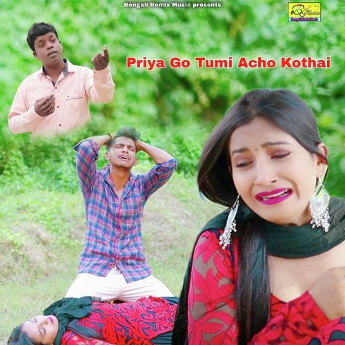 download   Priya Go Tumi Acho Kothai mp3 Single Tracks song 