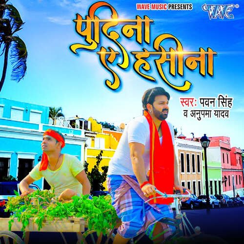 download Pawan Singh, Anupama Yadav  Pudina Ae Haseena mp3 Single Tracks song 