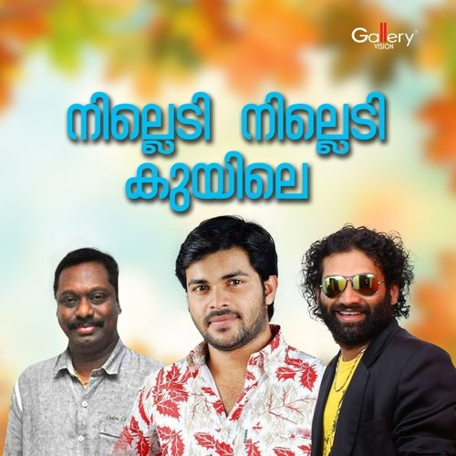 download   Punchirithookum mp3 Single Tracks song 