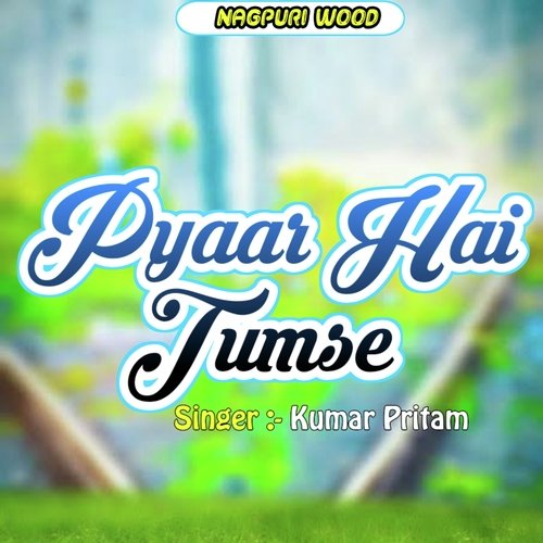 download Kumar Pritam  Pyaar Hai Tumse mp3 Single Tracks song 