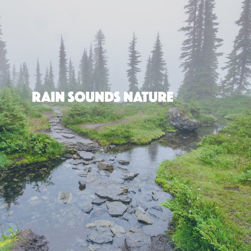 download Rain Sounds XLE Library  Rain Sound Water Skies mp3 Single Tracks song 