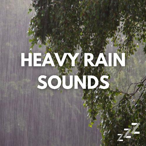 download Heavy Rain Sounds for Sleep  Rain Sound mp3 Single Tracks song 