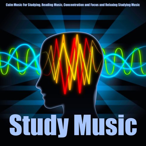 download Study Music  Reading Music And Concentration Focus Music mp3 Single Tracks song 