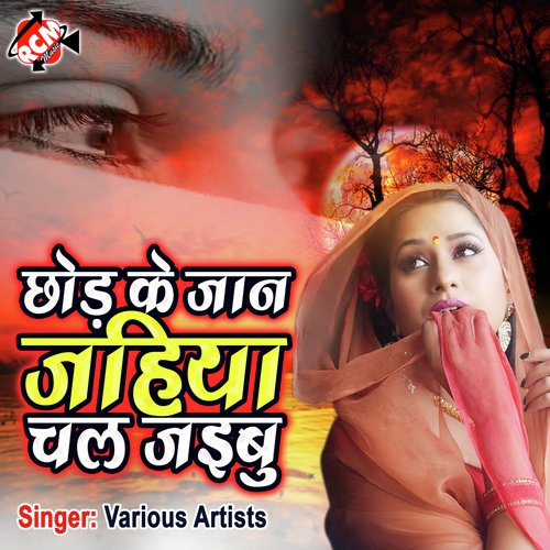 download Nagendra Lal Yadav/Prabha Raj  Rowab Facebook Par Aai Ke Live A Jan mp3 Single Tracks song 