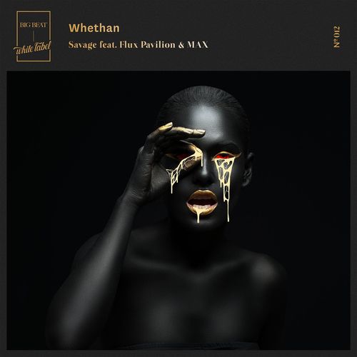 download Whethan, Flux Pavilion, Max  Savage mp3 Single Tracks song 