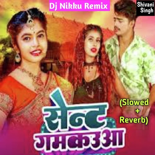 download Shivani Singh, Dj Nikku Remix  Sent Gamkauwa mp3 Single Tracks song 