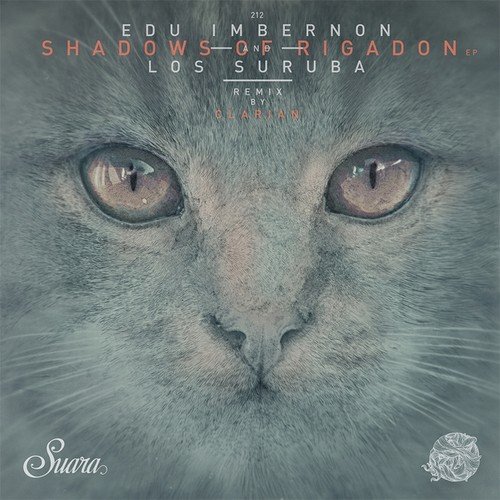 download Edu Imbernon, Los Suruba  Shadows Of Rigadon mp3 Single Tracks song 