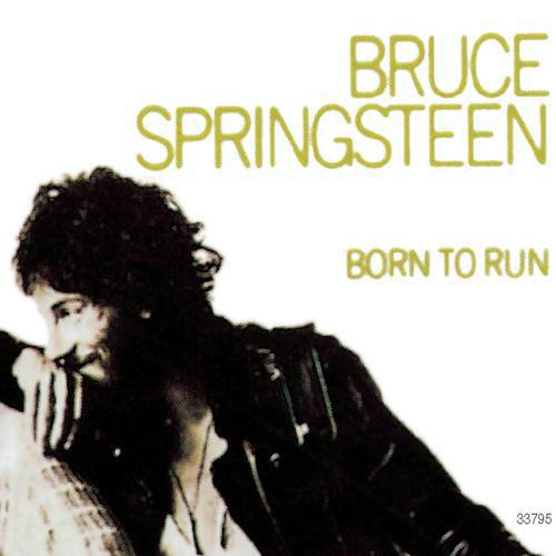 download Bruce Springsteen  Shes The One mp3 Single Tracks song 