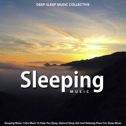 download Deep Sleep Music Collective  Sleep Meditation mp3 Single Tracks song 