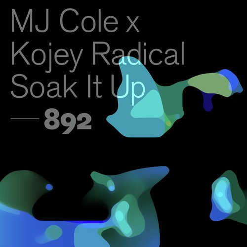 download MJ Cole, Kojey Radical  Soak It Up mp3 Single Tracks song 