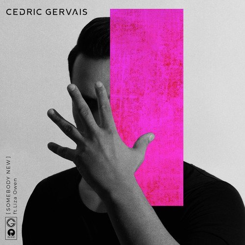 download Cedric Gervais  Somebody New mp3 Single Tracks song 