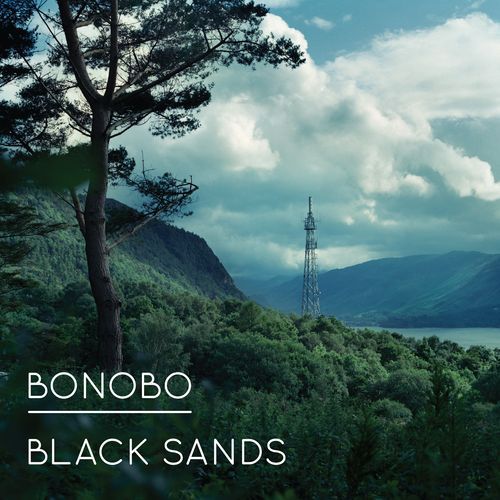 download Bonobo  Stay The Same mp3 Single Tracks song 