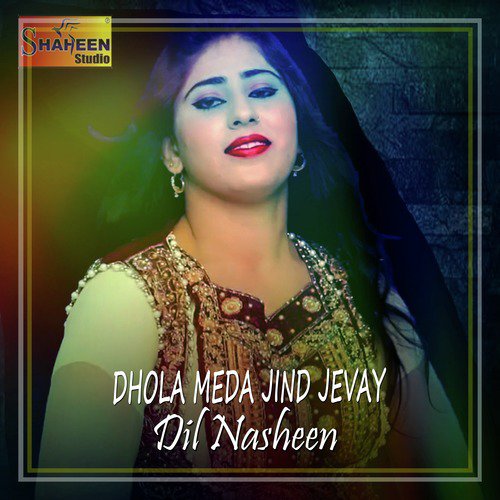 download Dil Nasheen  Suit Pave Kala Kala mp3 Single Tracks song 