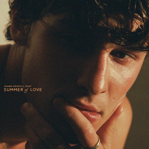 download Shawn Mendes, Tainy  Summer Of Love mp3 Single Tracks song 