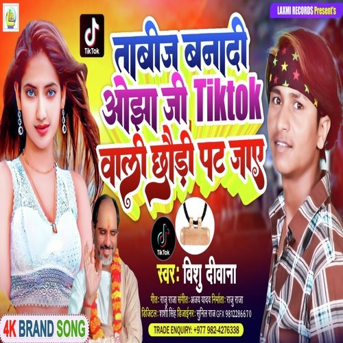 download Vishu Deewana  Tabeej Banadi Ojha Ji Tiktok Wali Chauri Pat Jaye mp3 Single Tracks song 