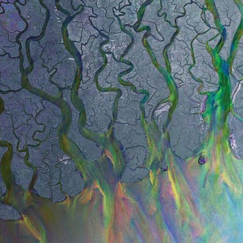 download Alt-J  Taro mp3 Single Tracks song 