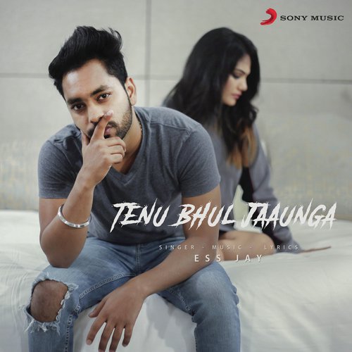 download Ess Jay  Tenu Bhul Jaaunga mp3 Single Tracks song 