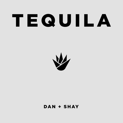 download Dan + Shay  Tequila mp3 Single Tracks song 