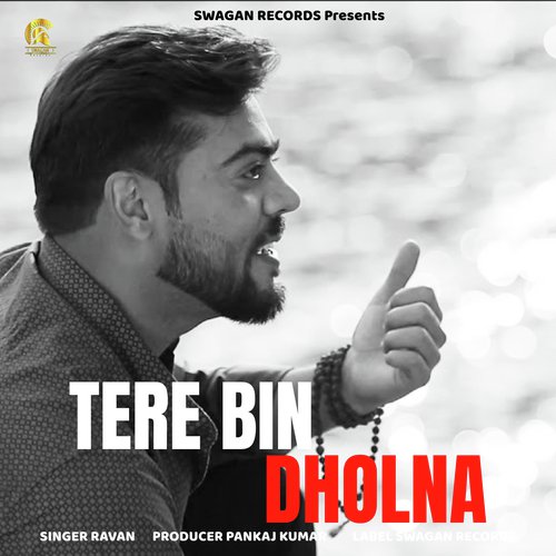 download Nitin  Tere Bin Dholna mp3 Single Tracks song 