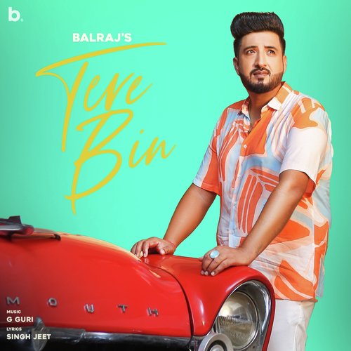 download Balraj  Tere Bin mp3 Single Tracks song 