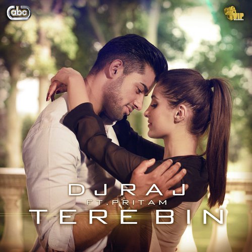 download DJ Raj, Pritam  Tere Bin mp3 Single Tracks song 