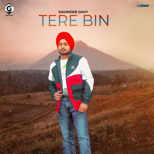 download Davinder Davy  Tere Bin mp3 Single Tracks song 