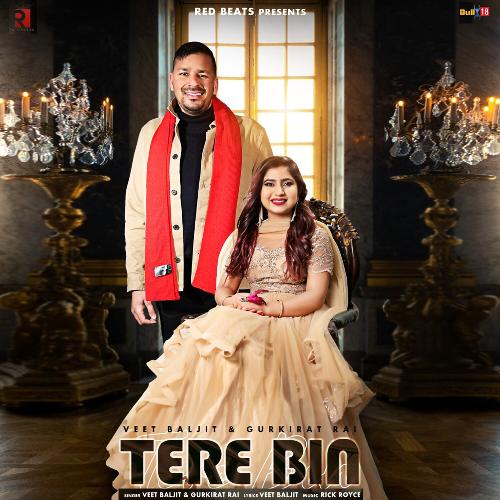 download Veet Baljit, Gurkirat Raj  Tere Bin mp3 Single Tracks song 