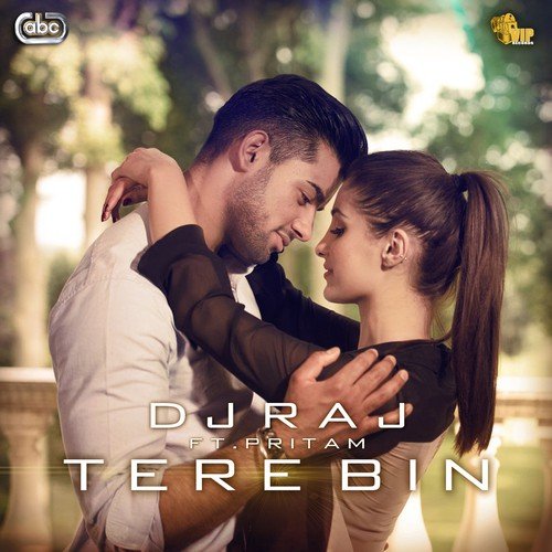 download DJ Raj  Tere Bin mp3 Single Tracks song 