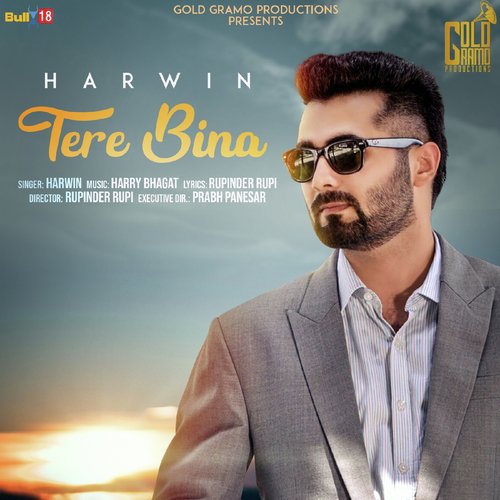 download Harwin  Tere Bina mp3 Single Tracks song 