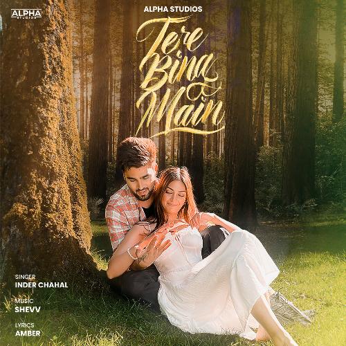 download Inder Chahal, Shevv  Tere Bina Main mp3 Single Tracks song 