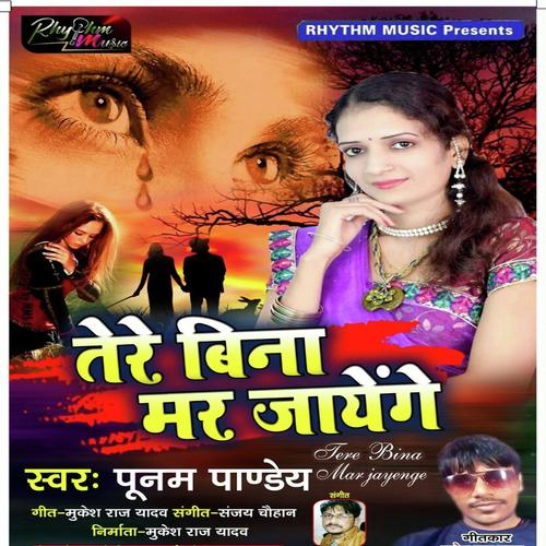 download Poonam Pandey  Tere Bina Mar Jayege mp3 Single Tracks song 