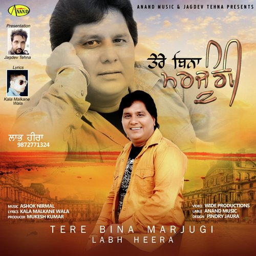 download Labh Heera  Tere Bina Marjungi mp3 Single Tracks song 