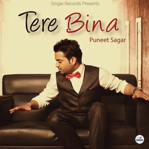 download Puneet Sagar  Tere Bina mp3 Single Tracks song 