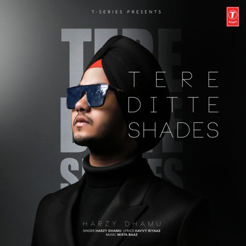 download Mista Baaz, Harzy Dhamu  Tere Ditte Shades mp3 Single Tracks song 