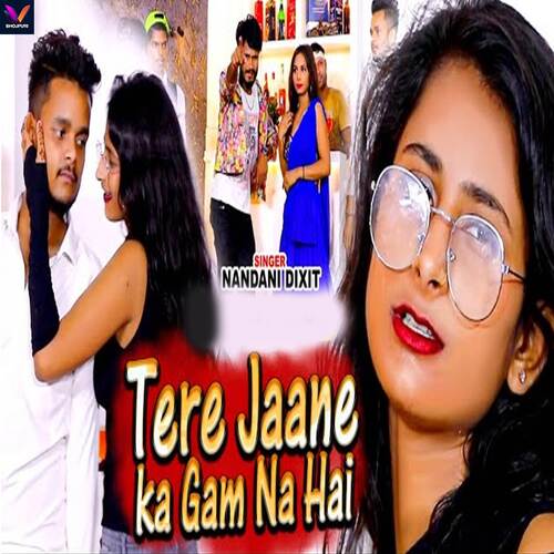 download Nandani Dixit  Tere Jaane Ka Gam Na Hai mp3 Single Tracks song 