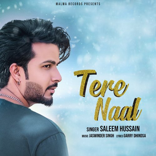 download Saleem Hussain  Tere Naal mp3 Single Tracks song 