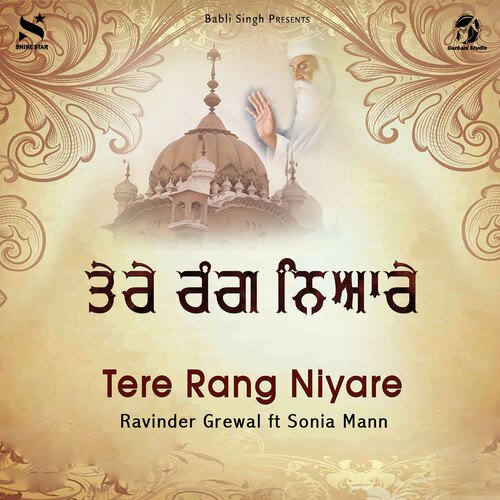 download Ravinder Grewal  Tere Rang Niyare mp3 Single Tracks song 