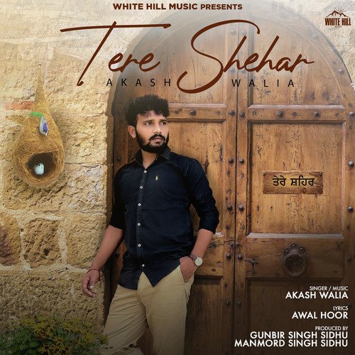 download Akash Walia  Tere Shehar mp3 Single Tracks song 