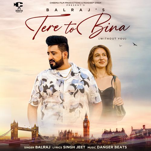 download Balraj  Tere To Bina mp3 Single Tracks song 