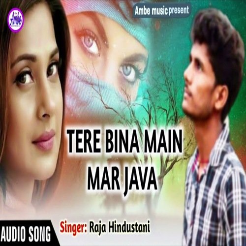 download Raja Hindustani  Tere Bina Mai Mar Java mp3 Single Tracks song 